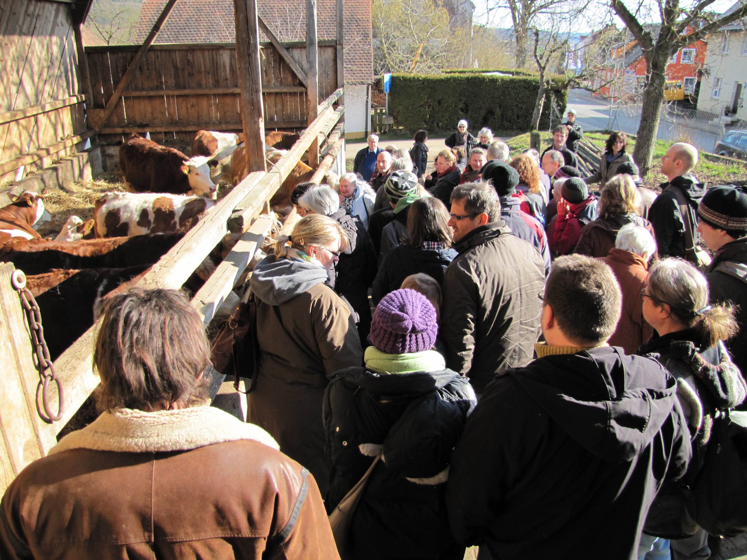 Hoffführung in Waizenhofen